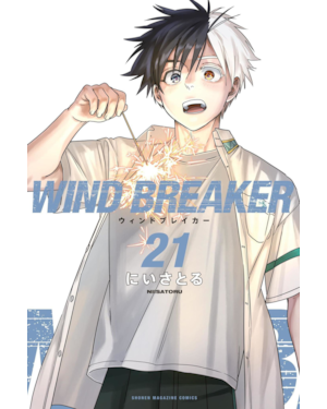 Wind Breaker 21