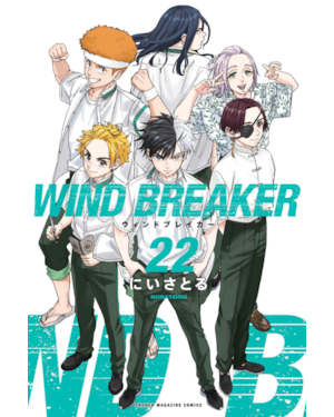 Wind Breaker 22