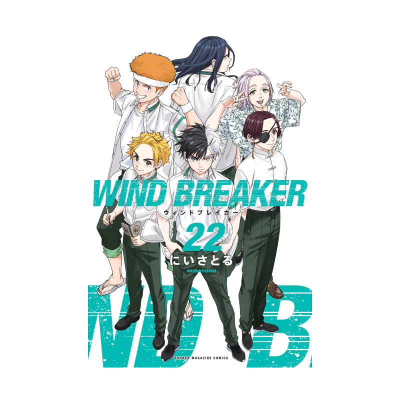 Wind Breaker 22