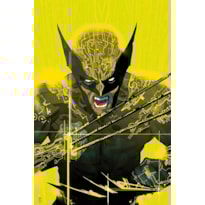 Wolverine (2022) n. 01 - capa variante ccxp