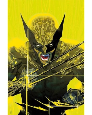 Wolverine (2022) n. 01 - capa variante ccxp