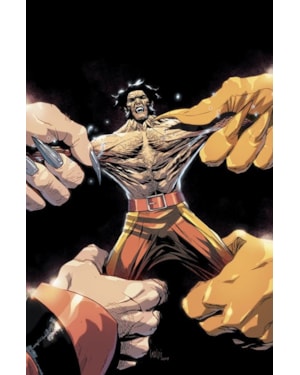 Wolverine (2022) Vol. 28