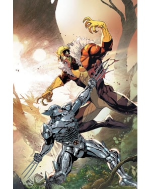 Wolverine (2022) Vol. 29