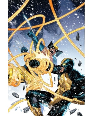 Wolverine (2025) 03