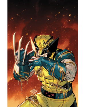 Wolverine (2025) 06