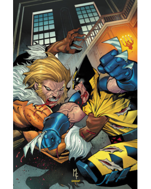 Wolverine (2025) 11