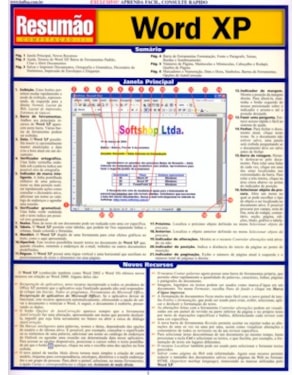 WORD XP RESUMAO - 1