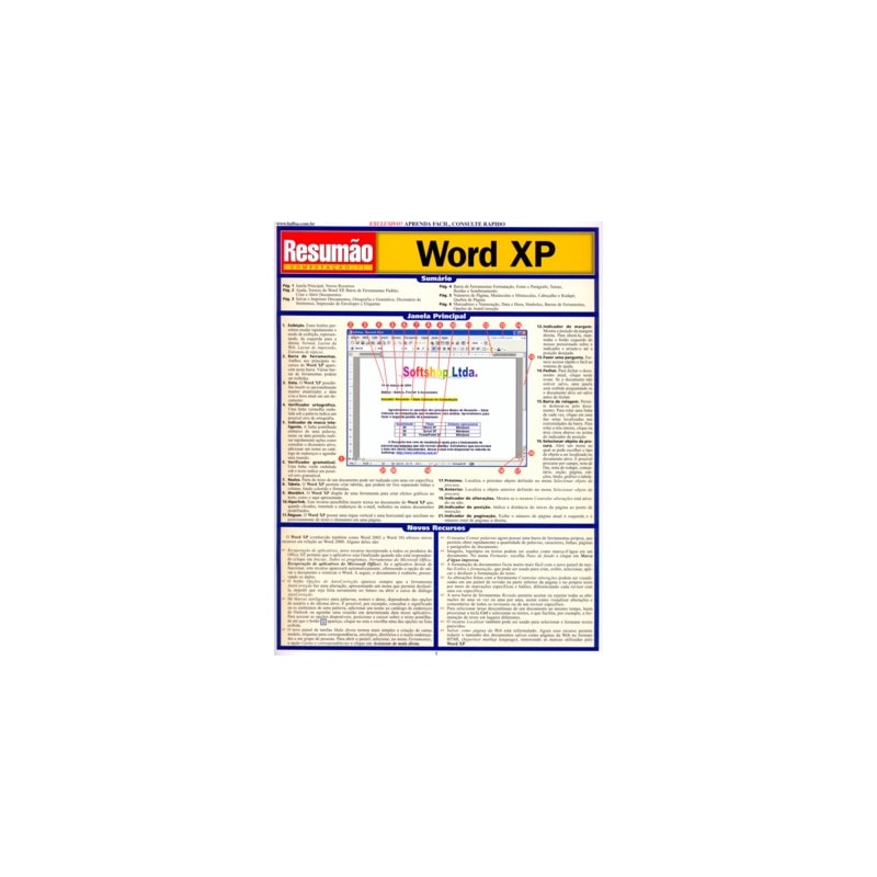 WORD XP RESUMAO - 1
